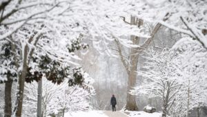 Cold temps descending on USA: Forecasters warn snow could fall from Texas to New York