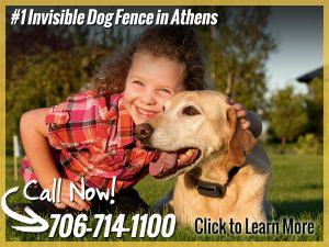 Facebook Ads Grid Tool – How To Create Ads To Meet Facebook’s 20% Text in Images Exposure Rule