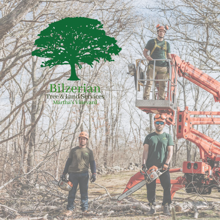 Bilzerian Tree and Land