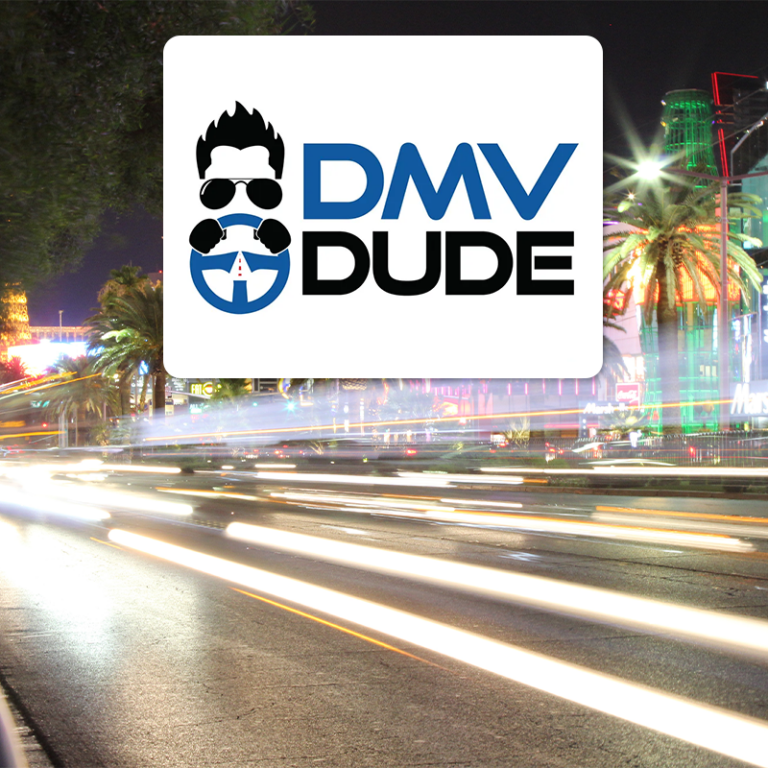 THE DMV DUDE