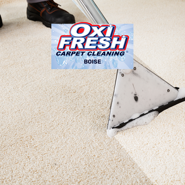 Tech cleans light carpet with extraction wand, foamy stripe visible, Oxi Fresh Carpet Cleaning Boise logo