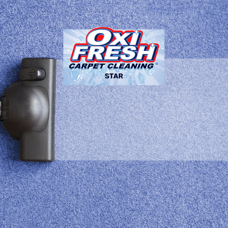 Vacuum cleaning head creates a bright clean stripe on blue carpet, Oxi Fresh Carpet Cleaning Star logo above