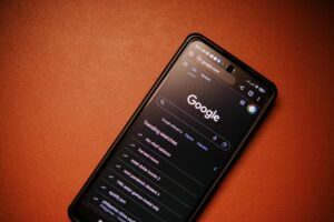 Paid Results and Organic Search Results SEO Bipper Media