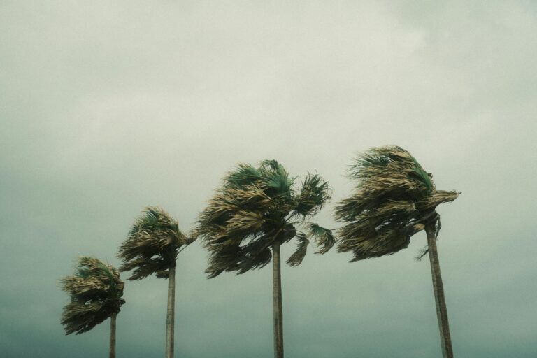 Price Gouging During a State of Emergency Sarasota, FL Hanlon Law