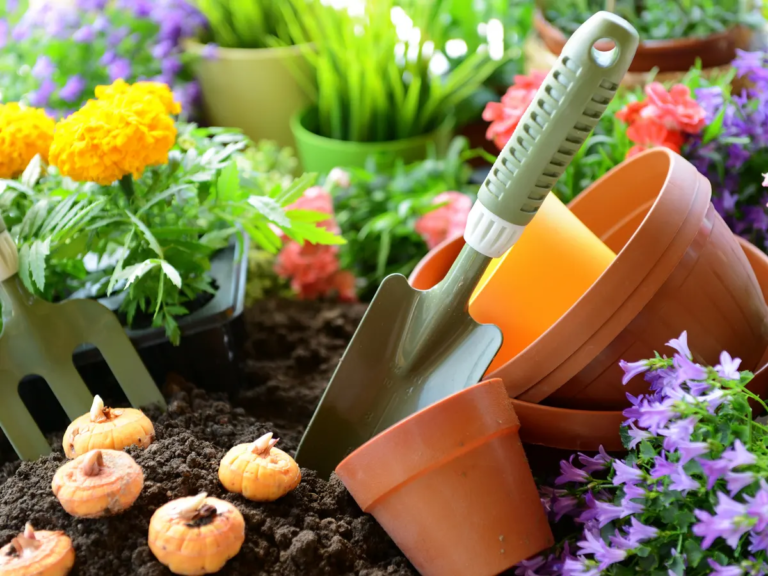 The Benefits of Gardening and How to Start Your Own Garden