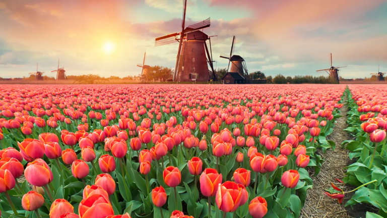 Spring Travel Destinations