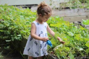 Grow Your Garden and Your Child's Imagination: How to Get Started Gardening with Your 3-Year-Old