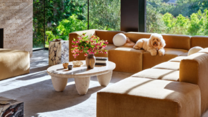 Pet-Friendly Home Decor Tips