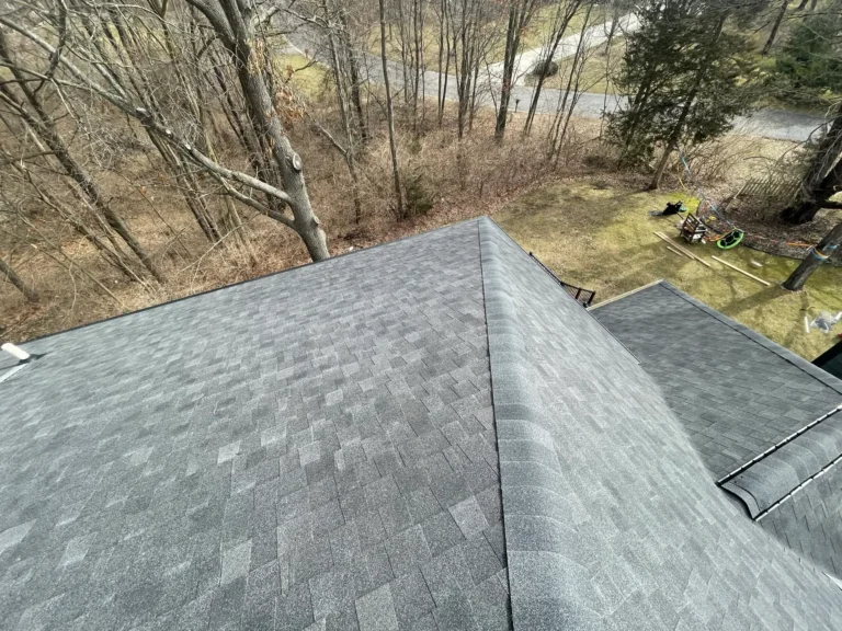Why Hire a Roofing Company That Specializes in Waterproofing - Hect Home Improvement