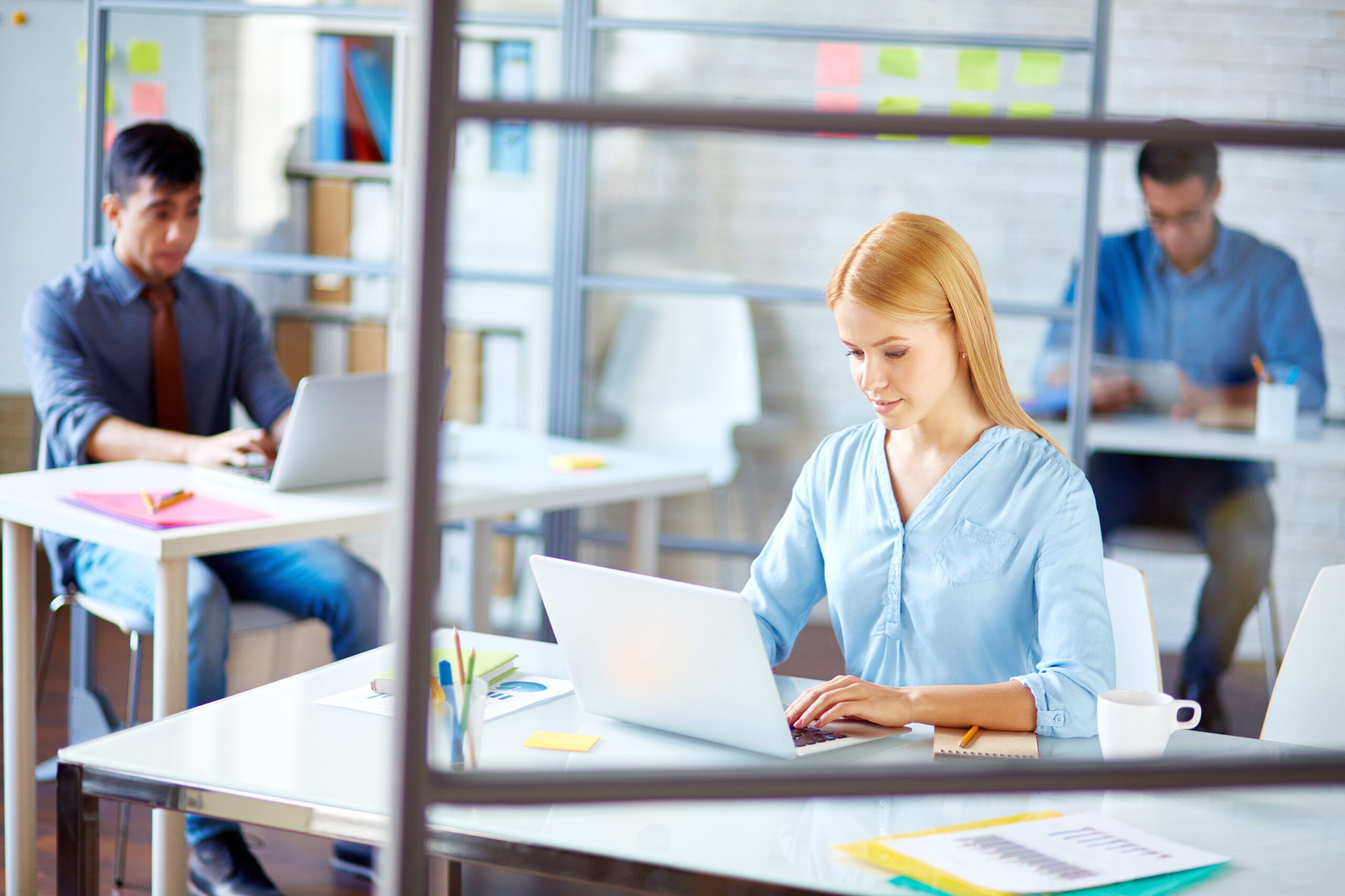 SEO & Website Design in Brooklyn, NY - Bipper Media