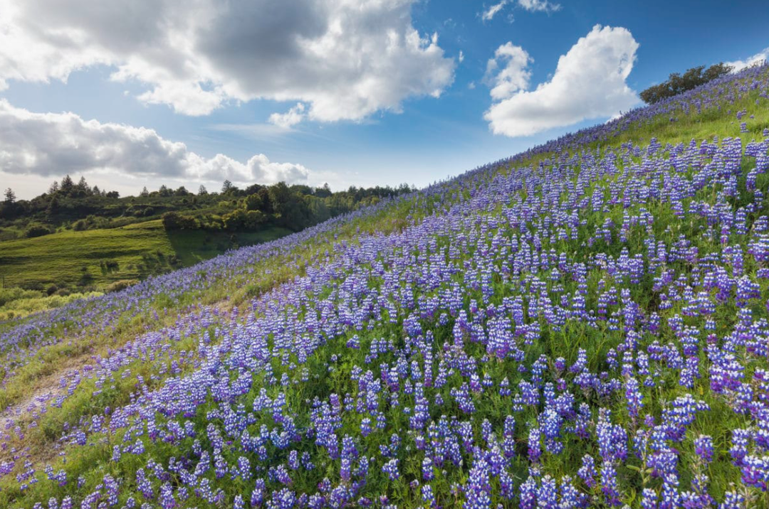 David Lyng Real Estate – Scotts Valley image 3