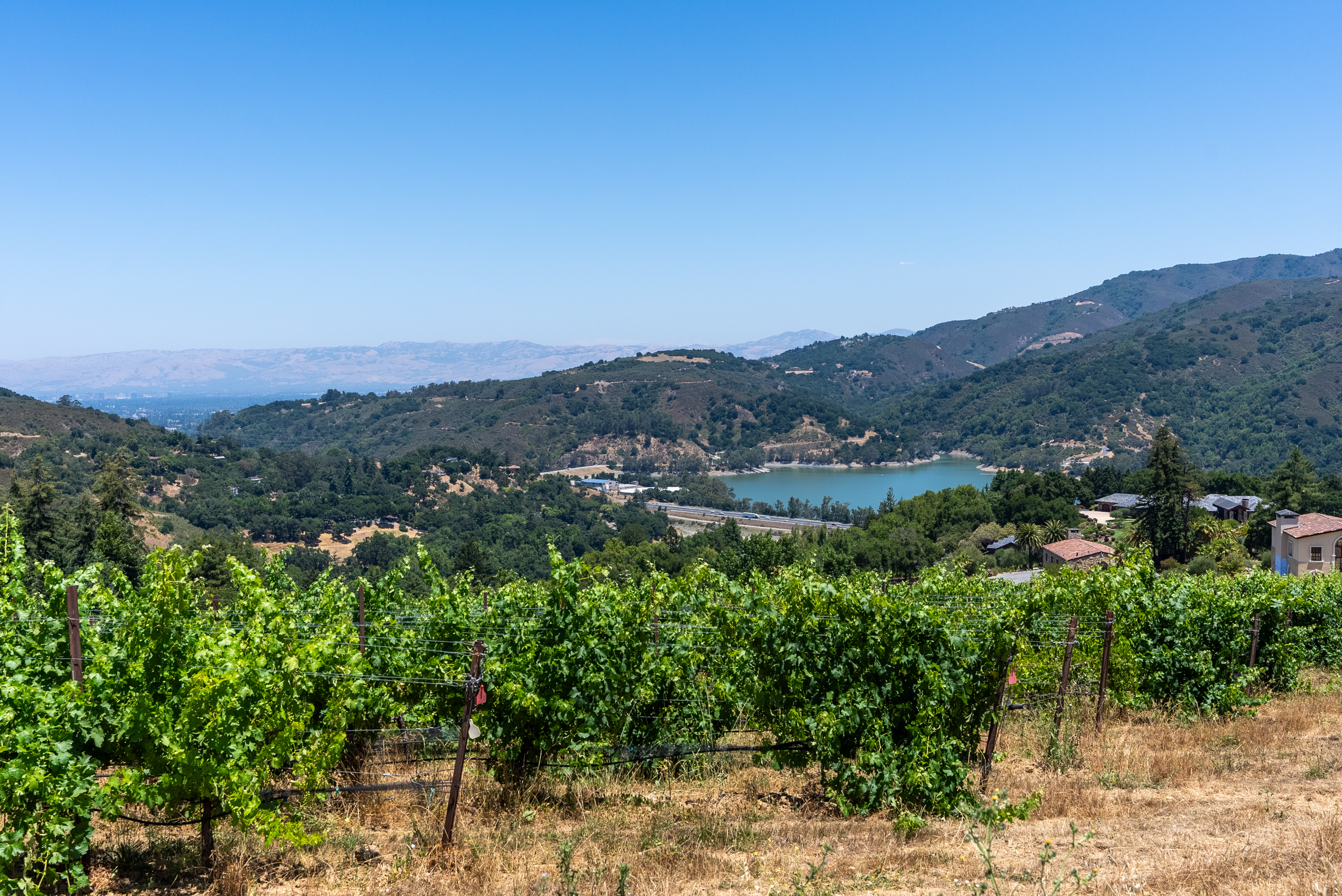 David Lyng Real Estate – Scotts Valley image 8