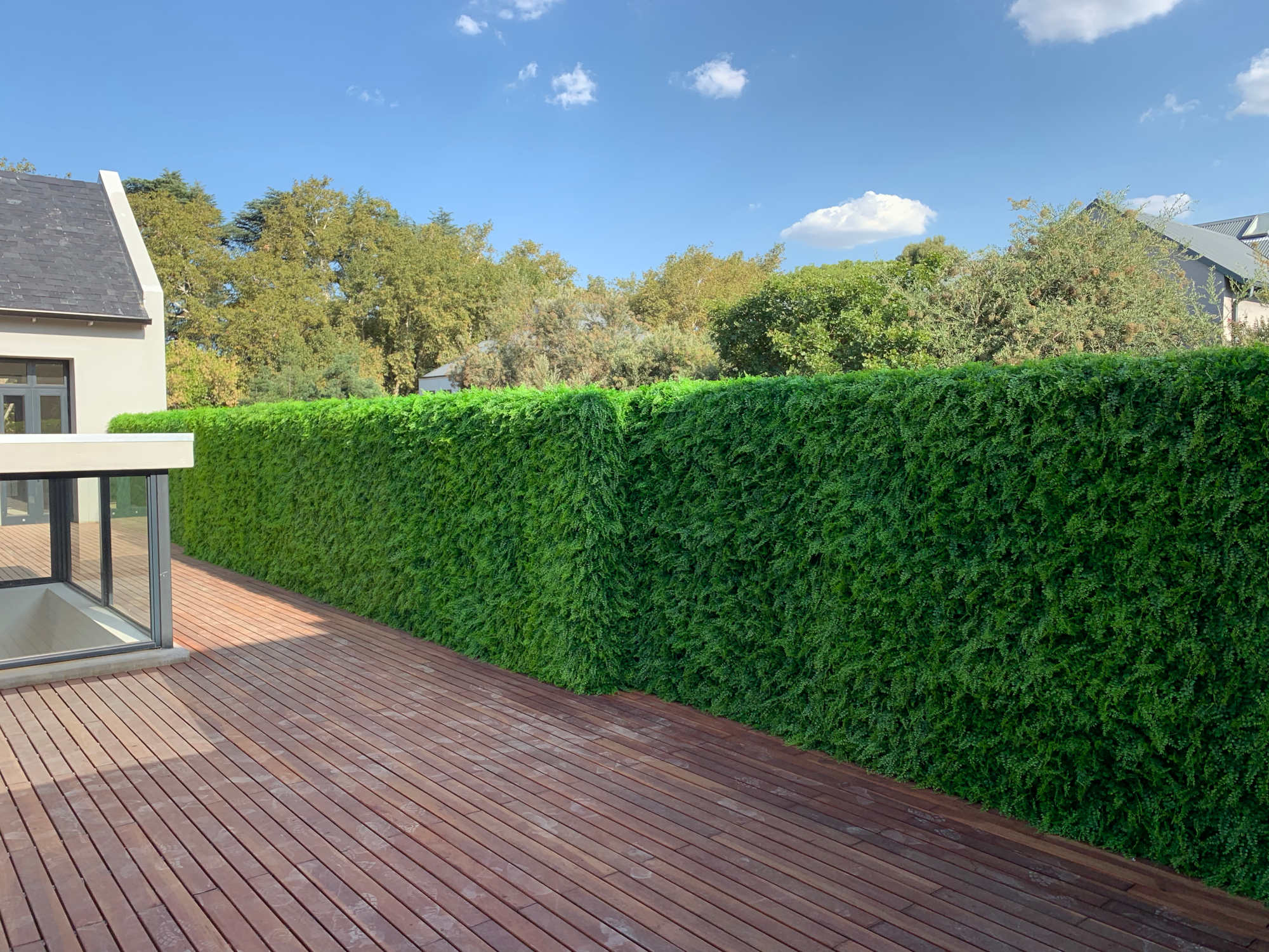 Distinctive Spaces image 8