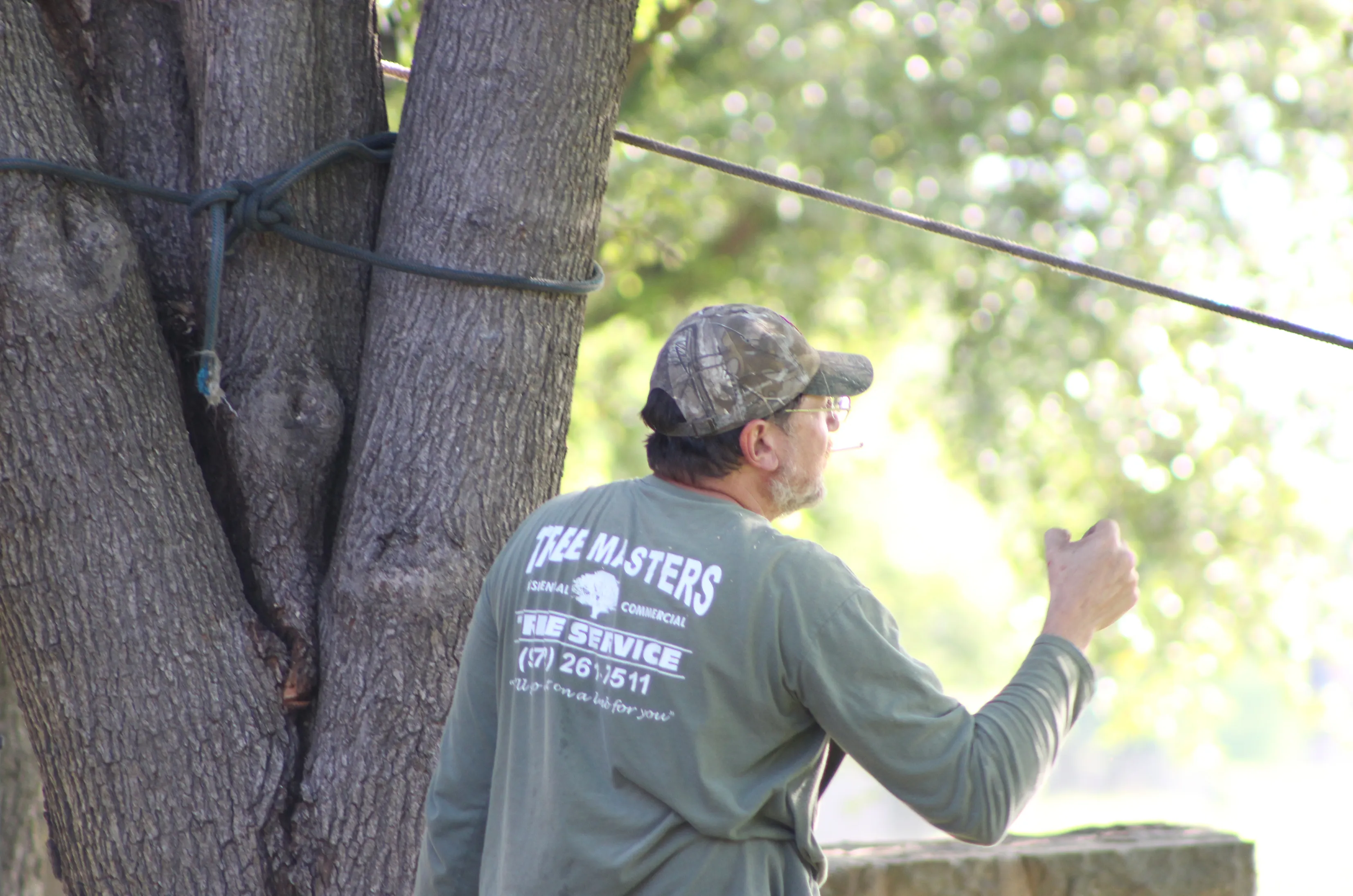 Tree Masters Tree Service image 2