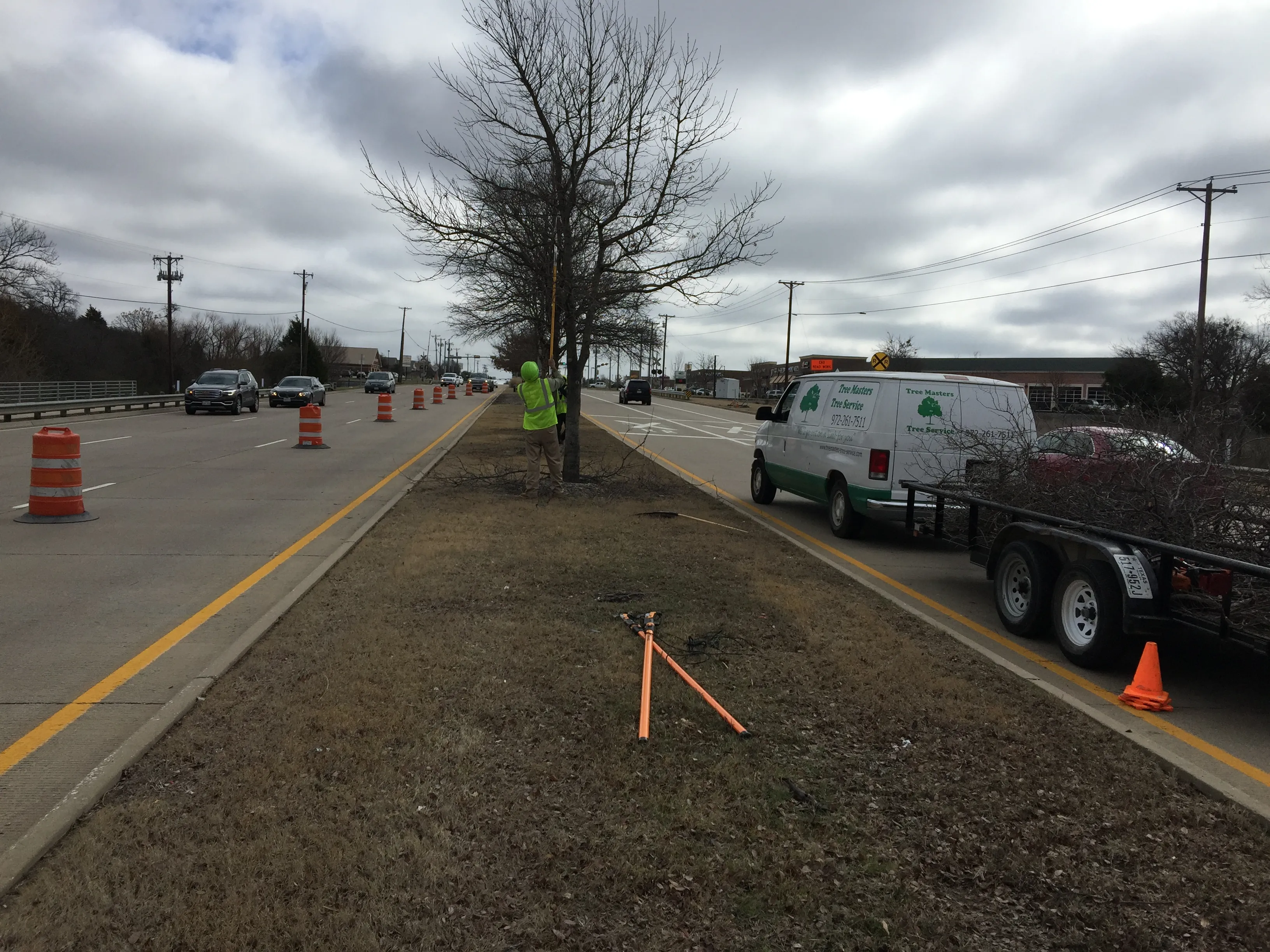 Tree Masters Tree Service image 4