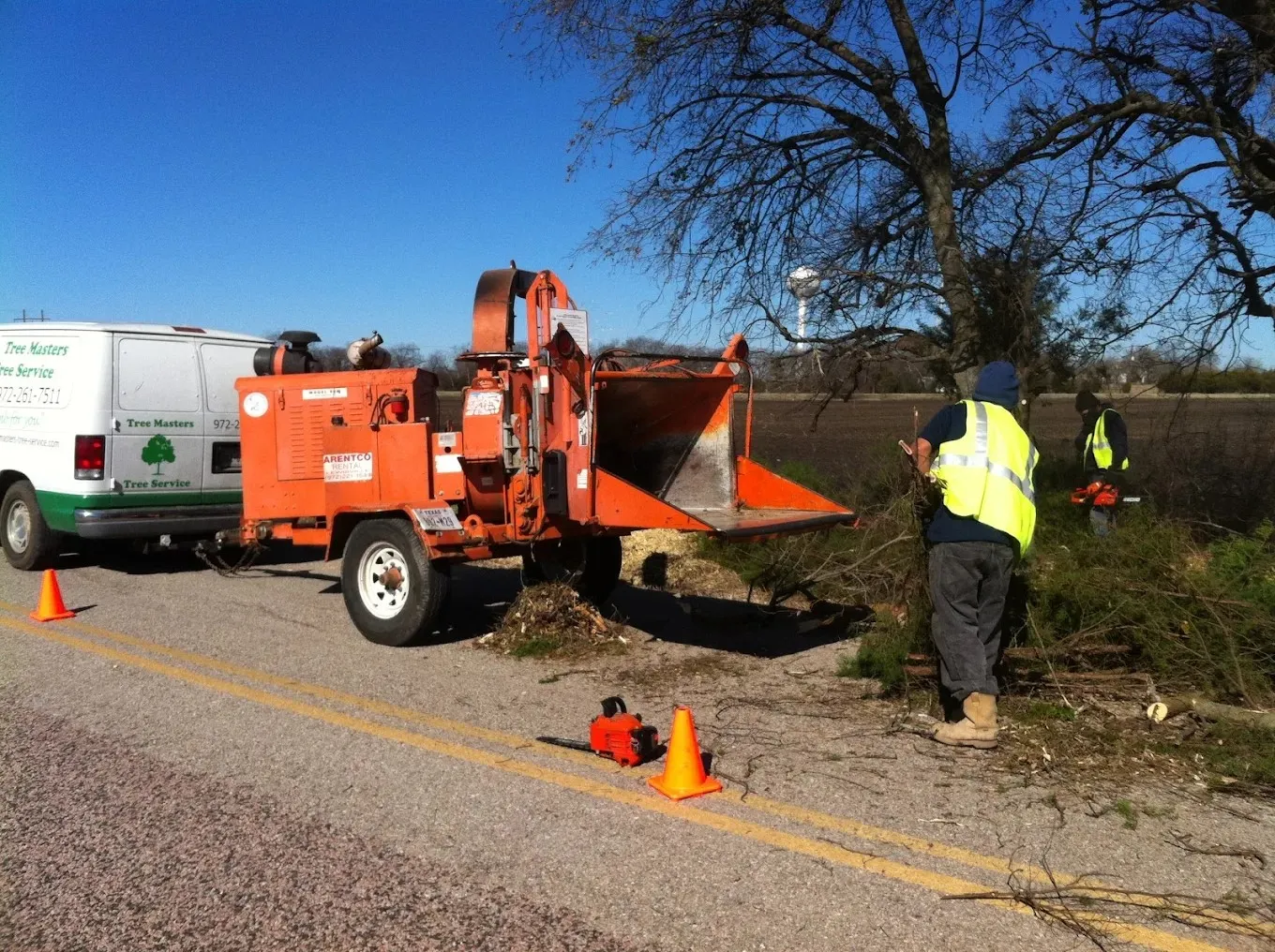 Tree Masters Tree Service image 5