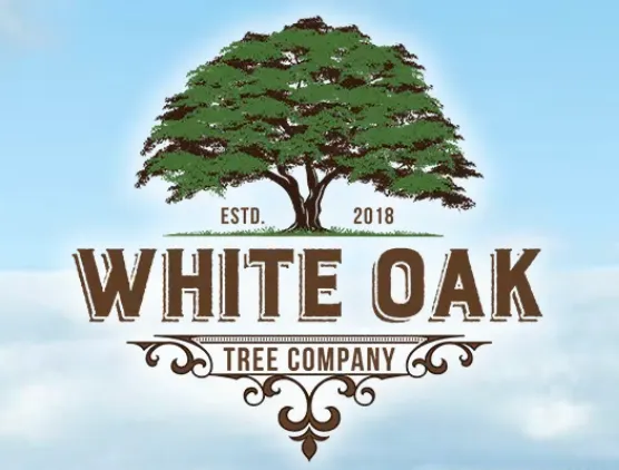 White Oak Tree Company thumbnail