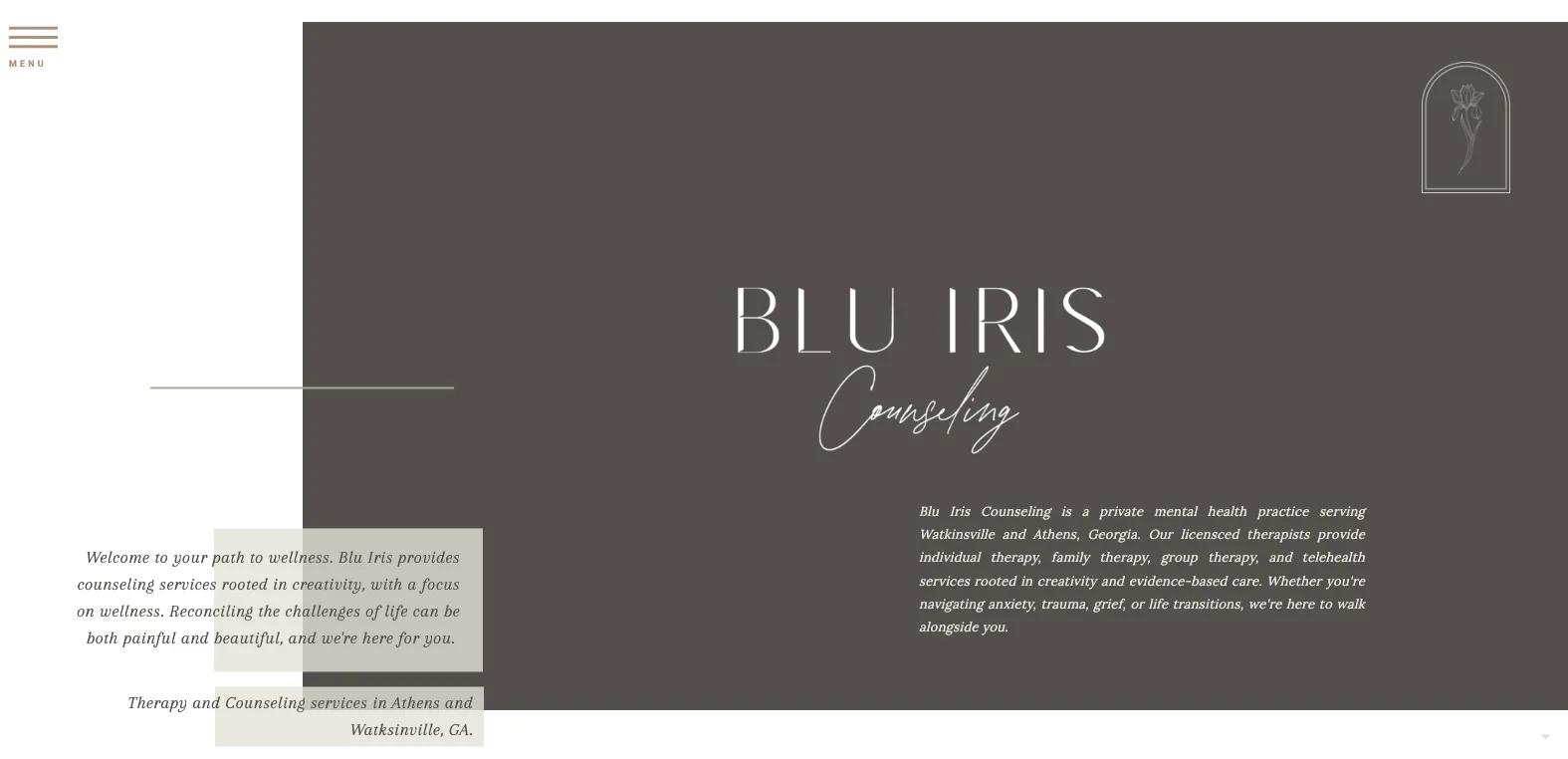 Blu Iris Counseling thumbnail