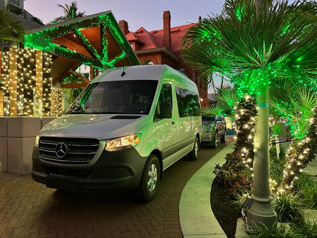 Platinum Limousine image 4